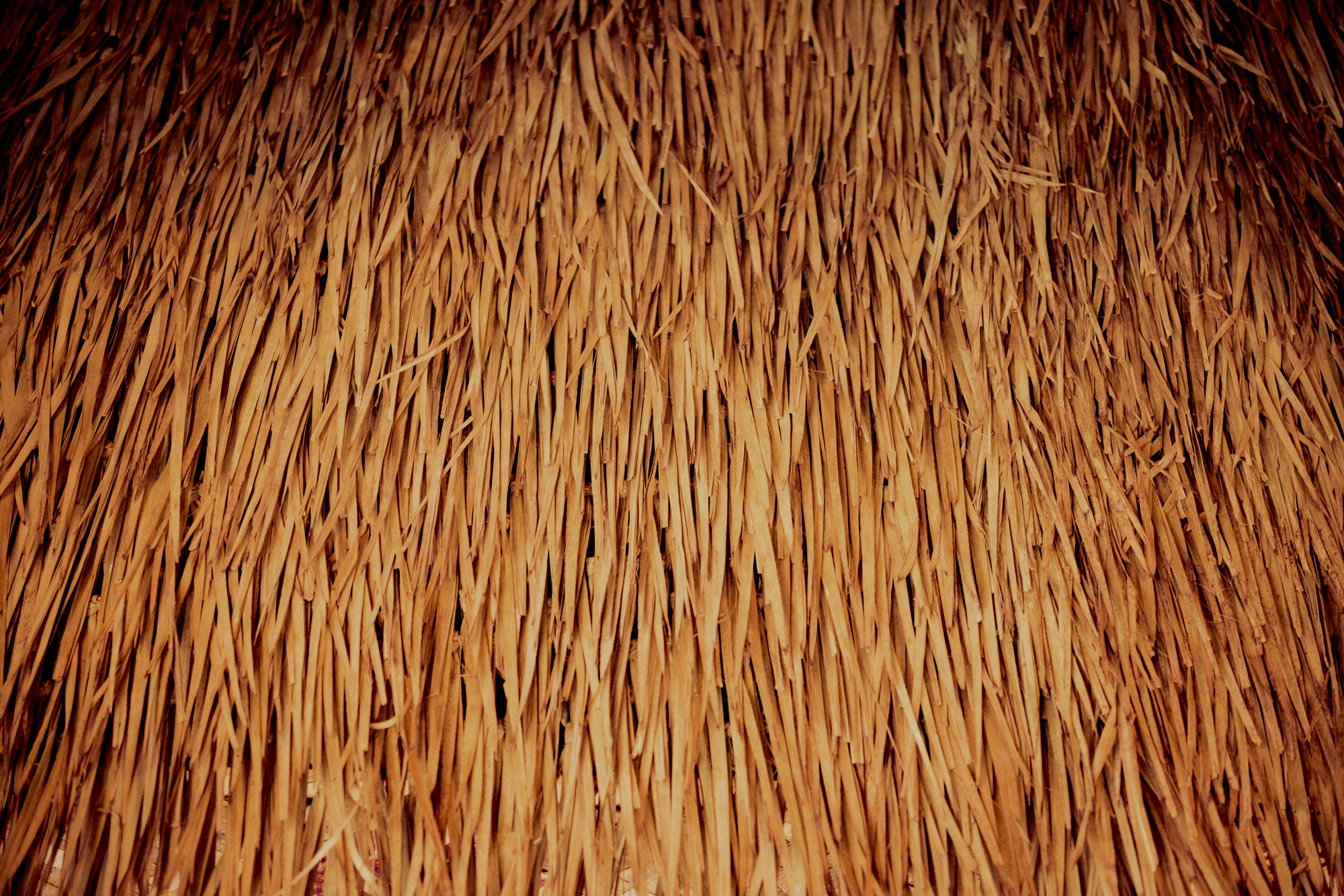 Crew The Grass Skirt